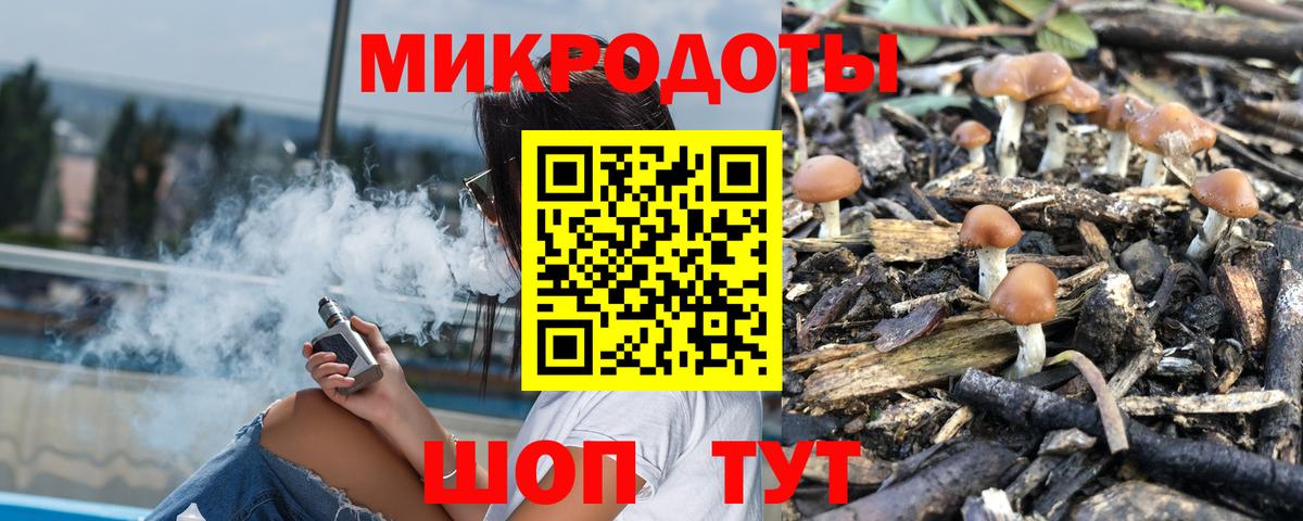 Елизово  Галлюциногенные грибы MAGIC MUSHROOMS  Вход с VPN 